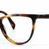 JUST CAVALLI - JC0848 052 Including Custom-made Prescription Lenses