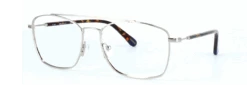 GANT 3194 - Silver Including Custom-made Prescription Lenses