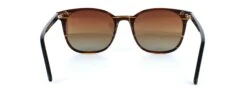 Pioneer Prescription Sunglasses - Aurelia - Demi Brown Including Custom-made Prescription Lenses -Fashion Optical Shop pioneer 35 967 02 19