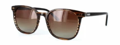 Pioneer Prescription Sunglasses - Aurelia - Demi Brown Including Custom-made Prescription Lenses